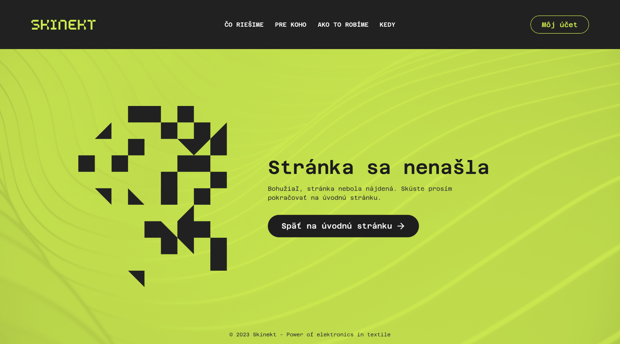 Web 404 page / Skinekt / UX/UI webu, vizuálna idenitta, branding a naming